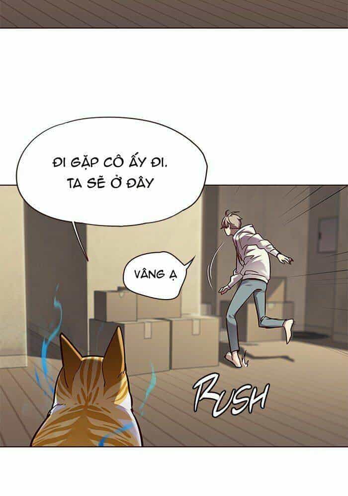 Hoá Thân Thành Mèo - Chương 65 - ảnh 27