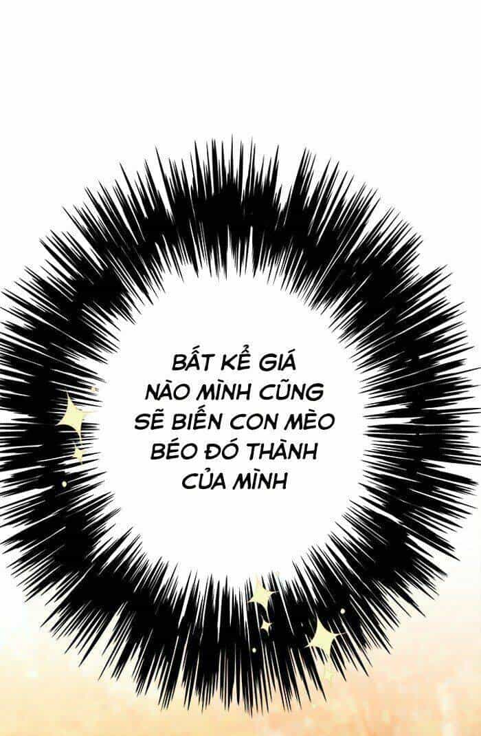 Hoá Thân Thành Mèo - Chương 81 - ảnh 10