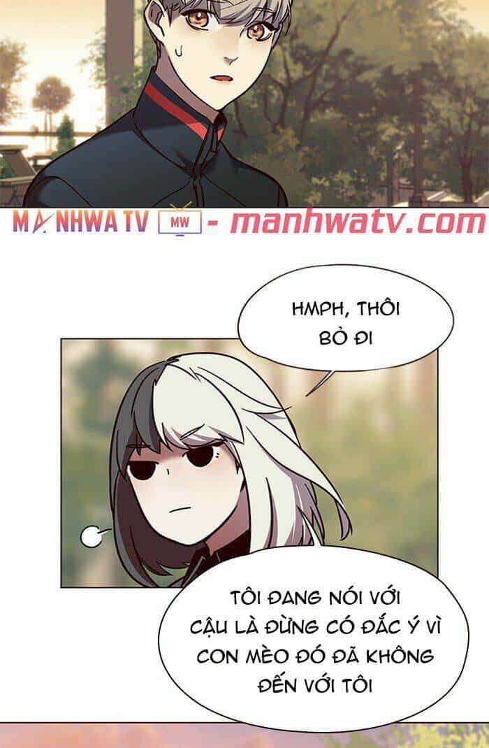 Hoá Thân Thành Mèo - Chương 81 - ảnh 17