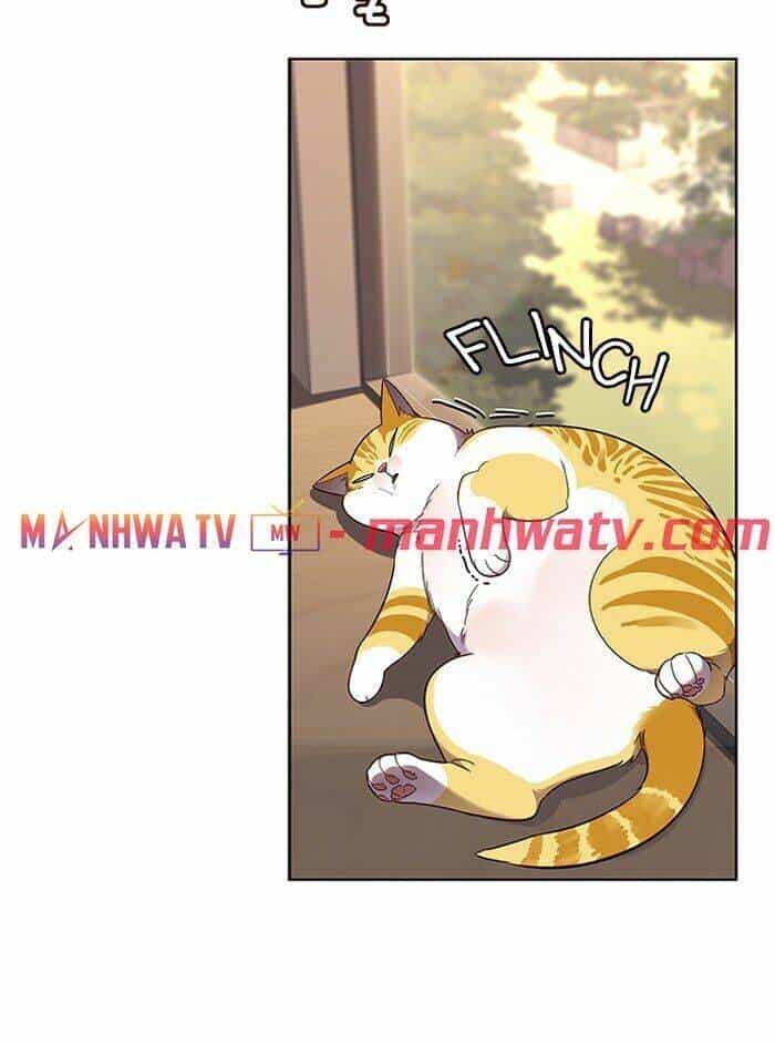 Hoá Thân Thành Mèo - Chương 81 - ảnh 97