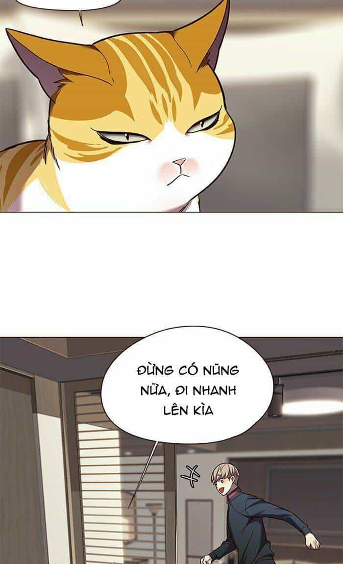 Hoá Thân Thành Mèo - Chương 82 - ảnh 72
