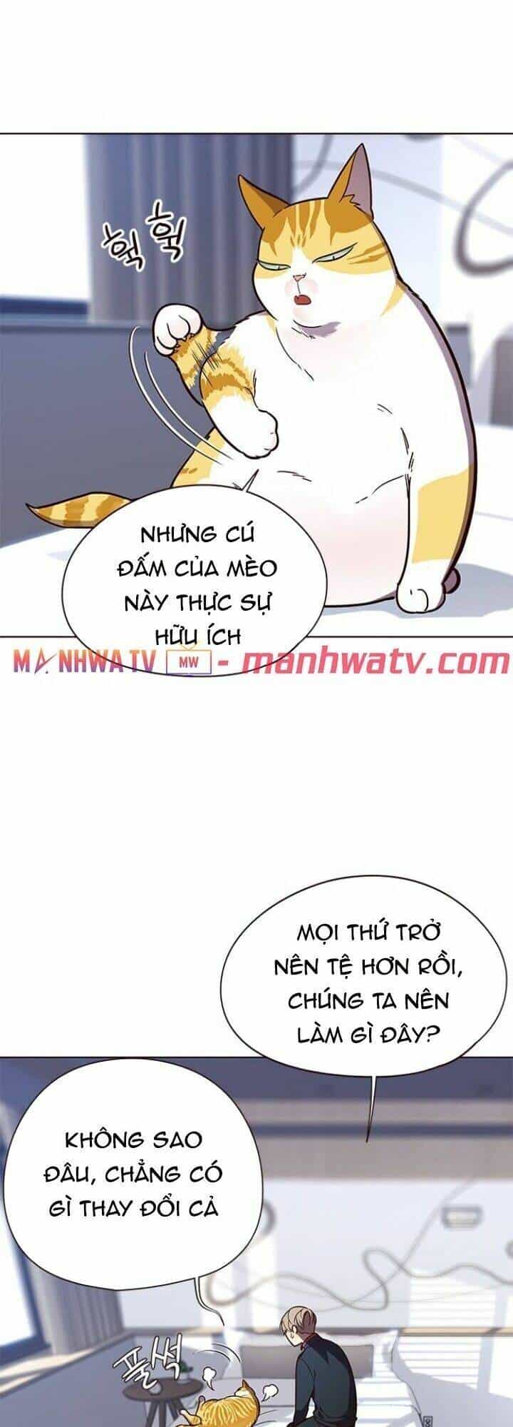 Hoá Thân Thành Mèo - Chương 90 - ảnh 7