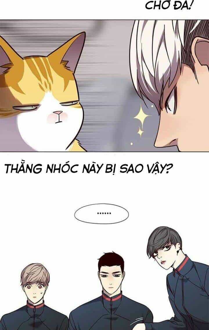 Hoá Thân Thành Mèo - Chương 92 - ảnh 54