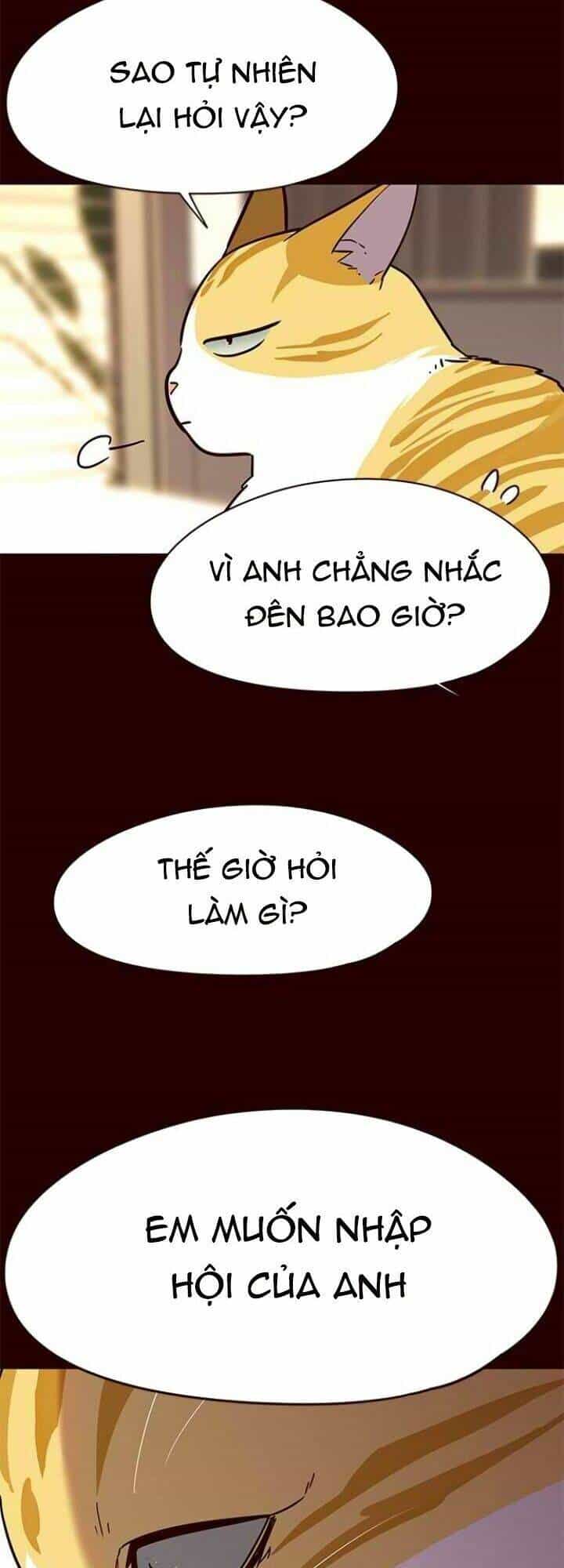 Hoá Thân Thành Mèo - Chương 96 - ảnh 10