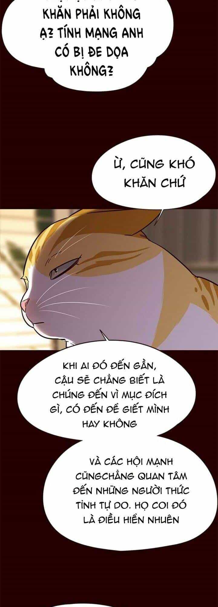 Hoá Thân Thành Mèo - Chương 96 - ảnh 13