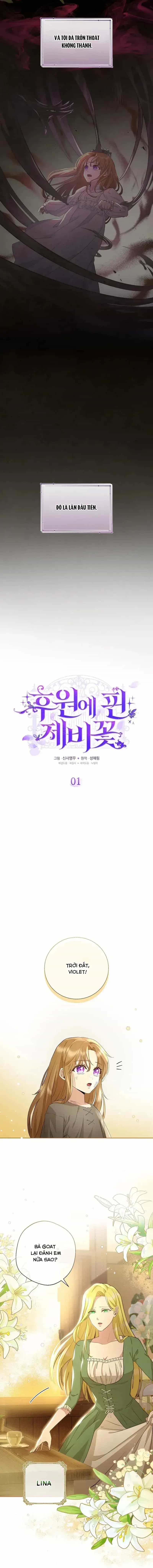 Hoa Tím Nở Nơi Vũng Lầy - Chương 1 - ảnh 8