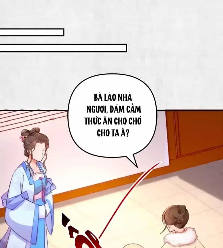 Hoạn Phi Hoàn Triều - Chương 29 - ảnh 23