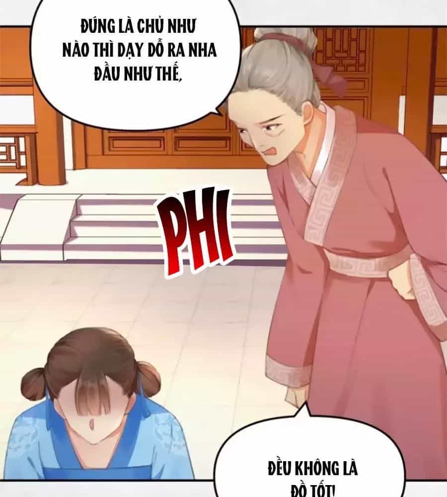 Hoạn Phi Hoàn Triều - Chương 31 - ảnh 44