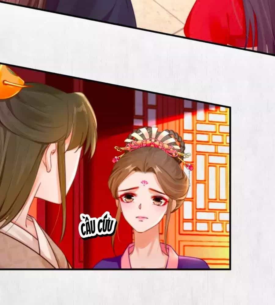 Hoạn Phi Hoàn Triều - Chương 54 - ảnh 57