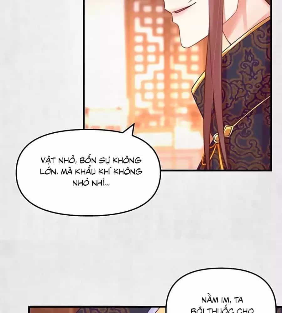 Hoạn Phi Hoàn Triều - Chương 58 - ảnh 31