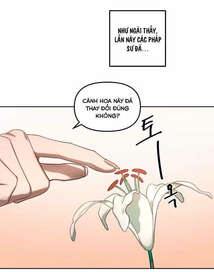Hoàng Đế Đảo Ngược Thời Gian - Chương 1 - ảnh 46