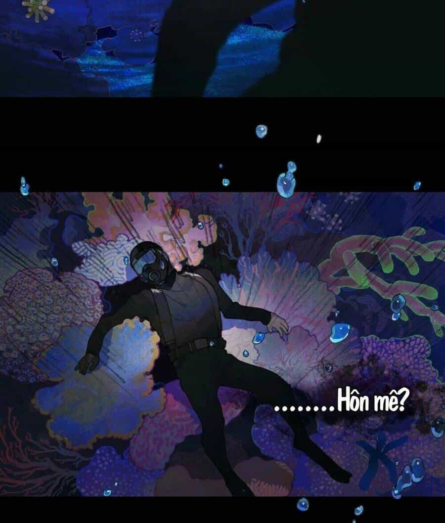 Hoạt Hải - Chương 1 - ảnh 51