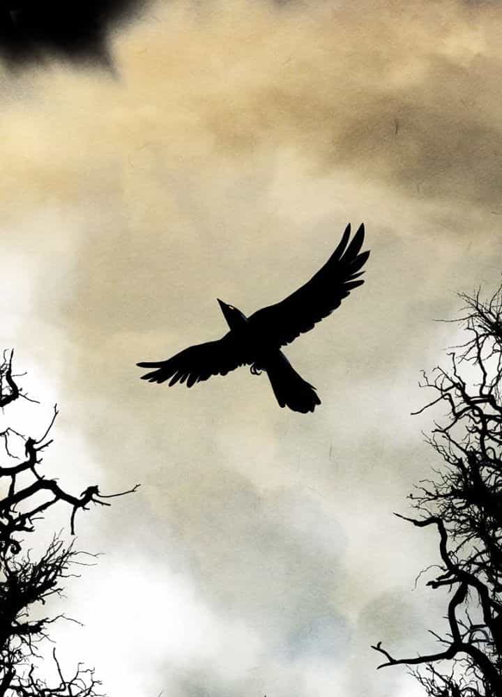 Học Viện Nevermore - Chương 1 - ảnh 6