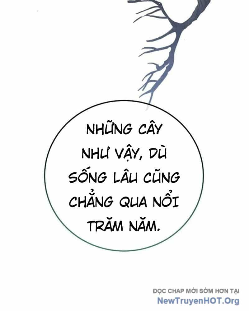 Hồi Sinh Huyết Mạch Nam Cung - Chương 20 - ảnh 33