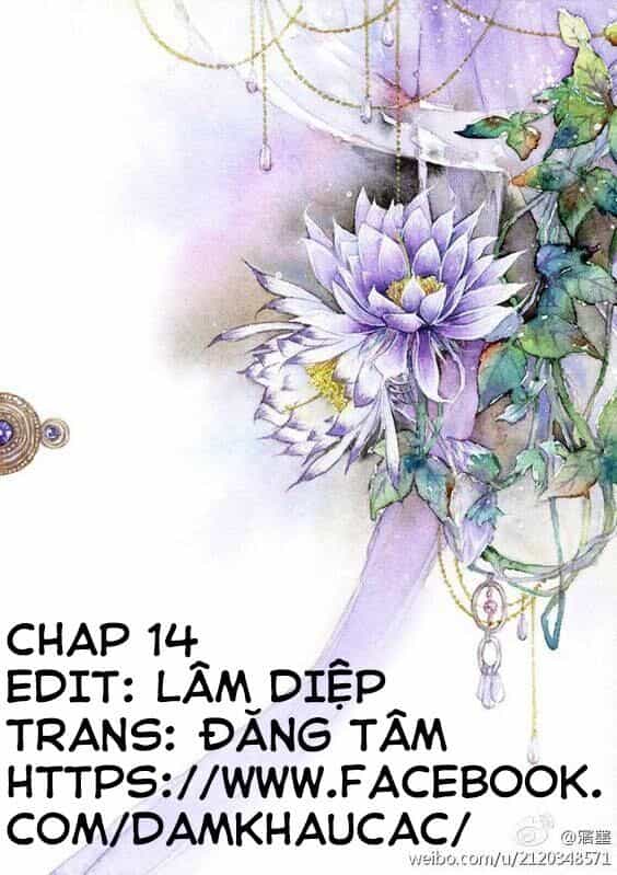 Hôn Ái Thành Ẩn - Chương 14 - ảnh 1