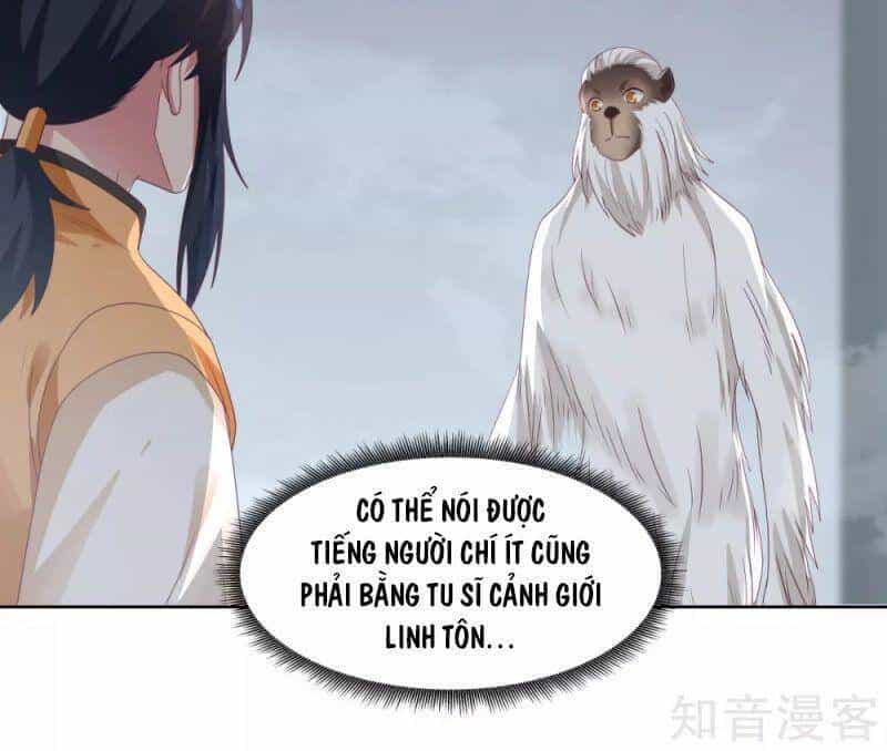 Hỗn Độn Đan Thần - Chương 146 - ảnh 17
