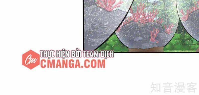 Hỗn Độn Đan Thần - Chương 155 - ảnh 12