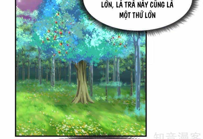 Hỗn Độn Đan Thần - Chương 156 - ảnh 15