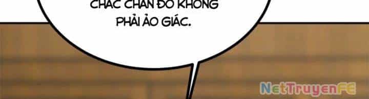 Hỗn Độn Đan Thần - Chương 363 - ảnh 19