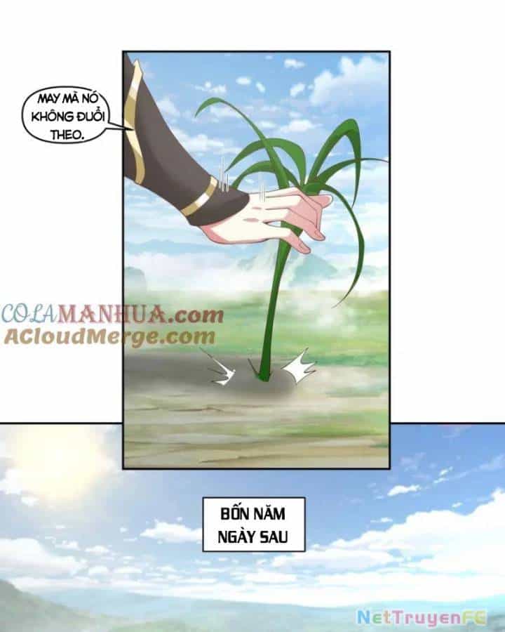 Hỗn Độn Đan Thần - Chương 388 - ảnh 12