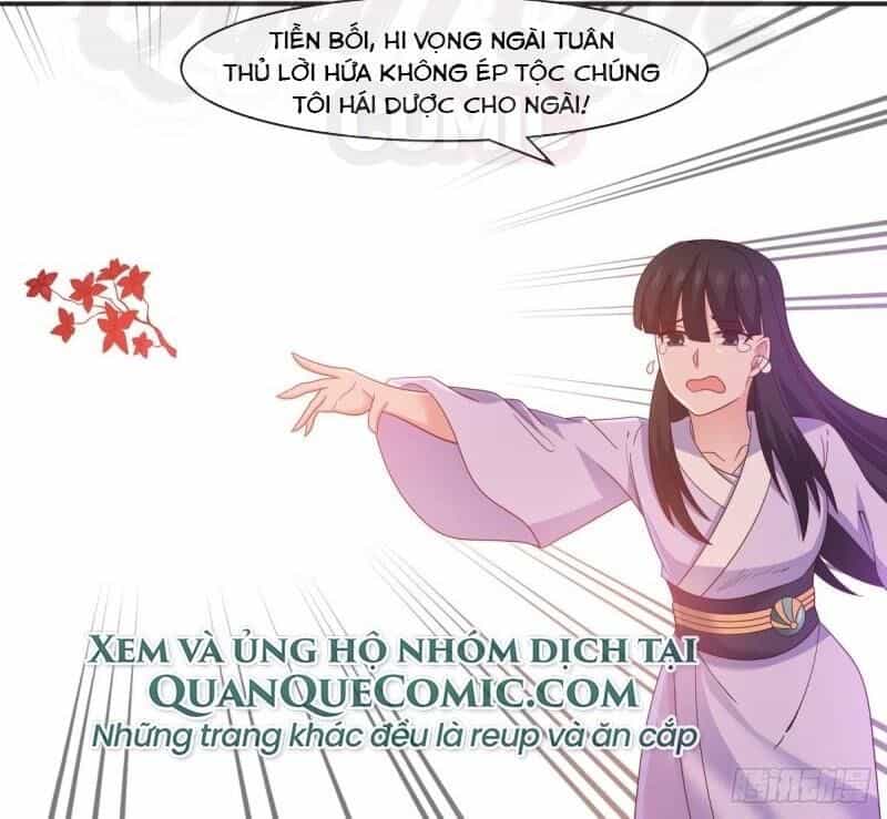 Hỗn Độn Đan Thần - Chương 43 - ảnh 18