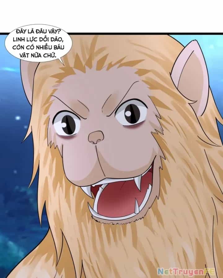 Hỗn Độn Đan Thần - Chương 479 - ảnh 11