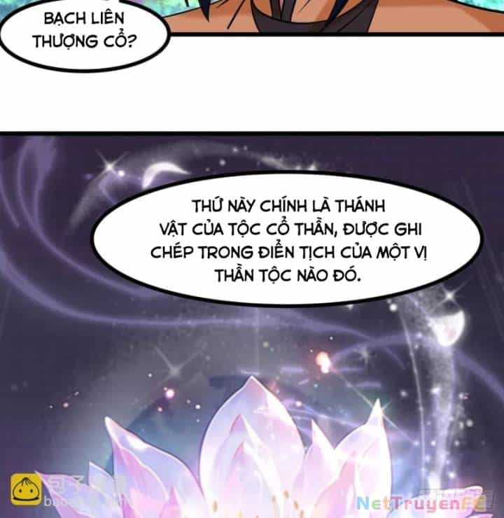 Hỗn Độn Đan Thần - Chương 506 - ảnh 25