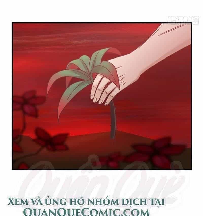 Hỗn Độn Đan Thần - Chương 55 - ảnh 25