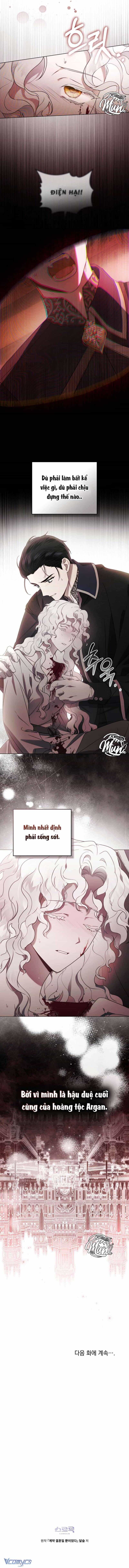Hôn Nhân Khế Ước - Chương 3 - ảnh 13