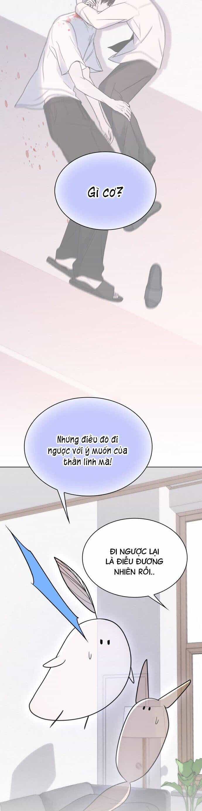 Hôn Trước Khi Ngủ - Chương 42 - ảnh 28