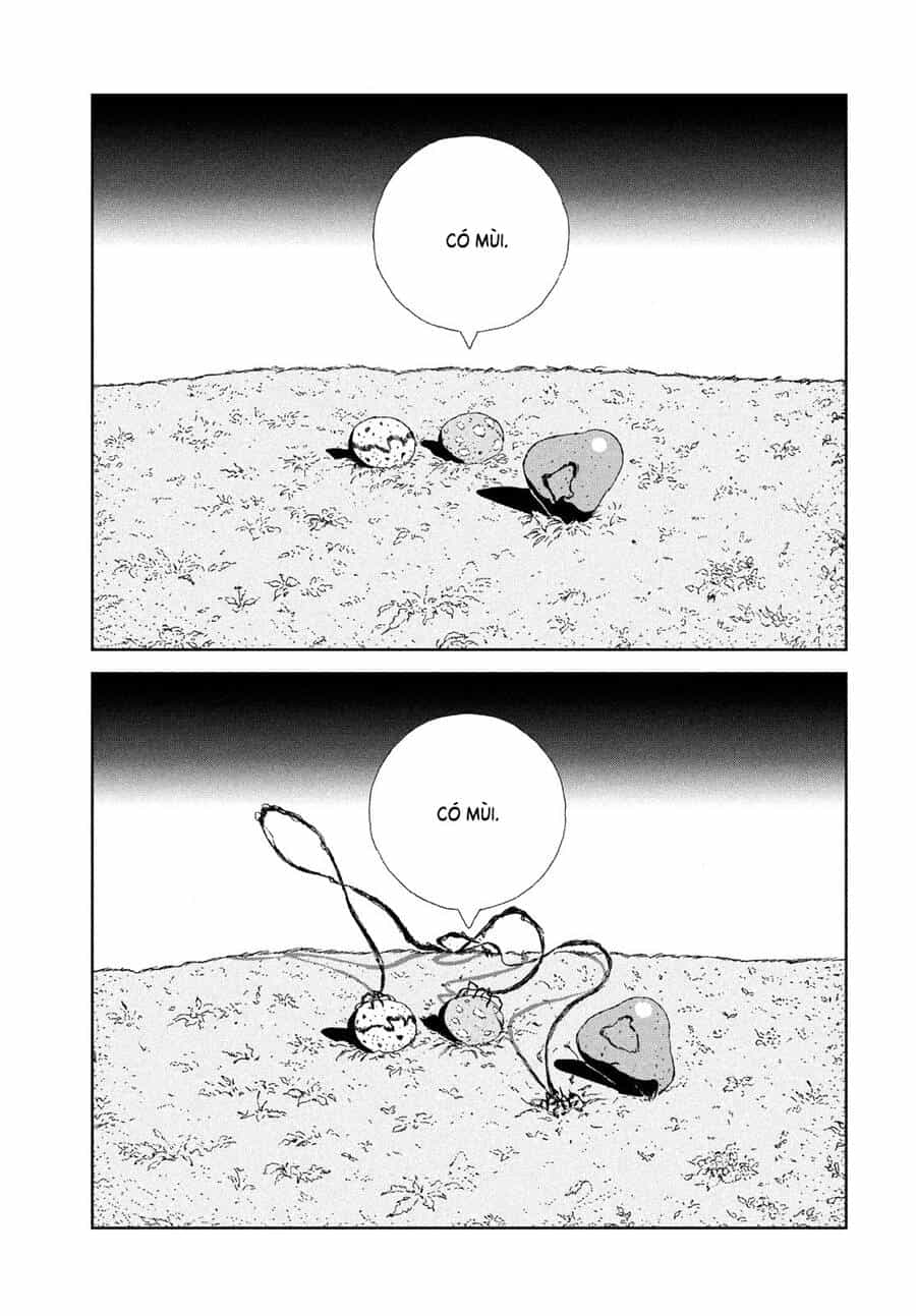 Houseki No Kuni - Chương 101 - ảnh 17