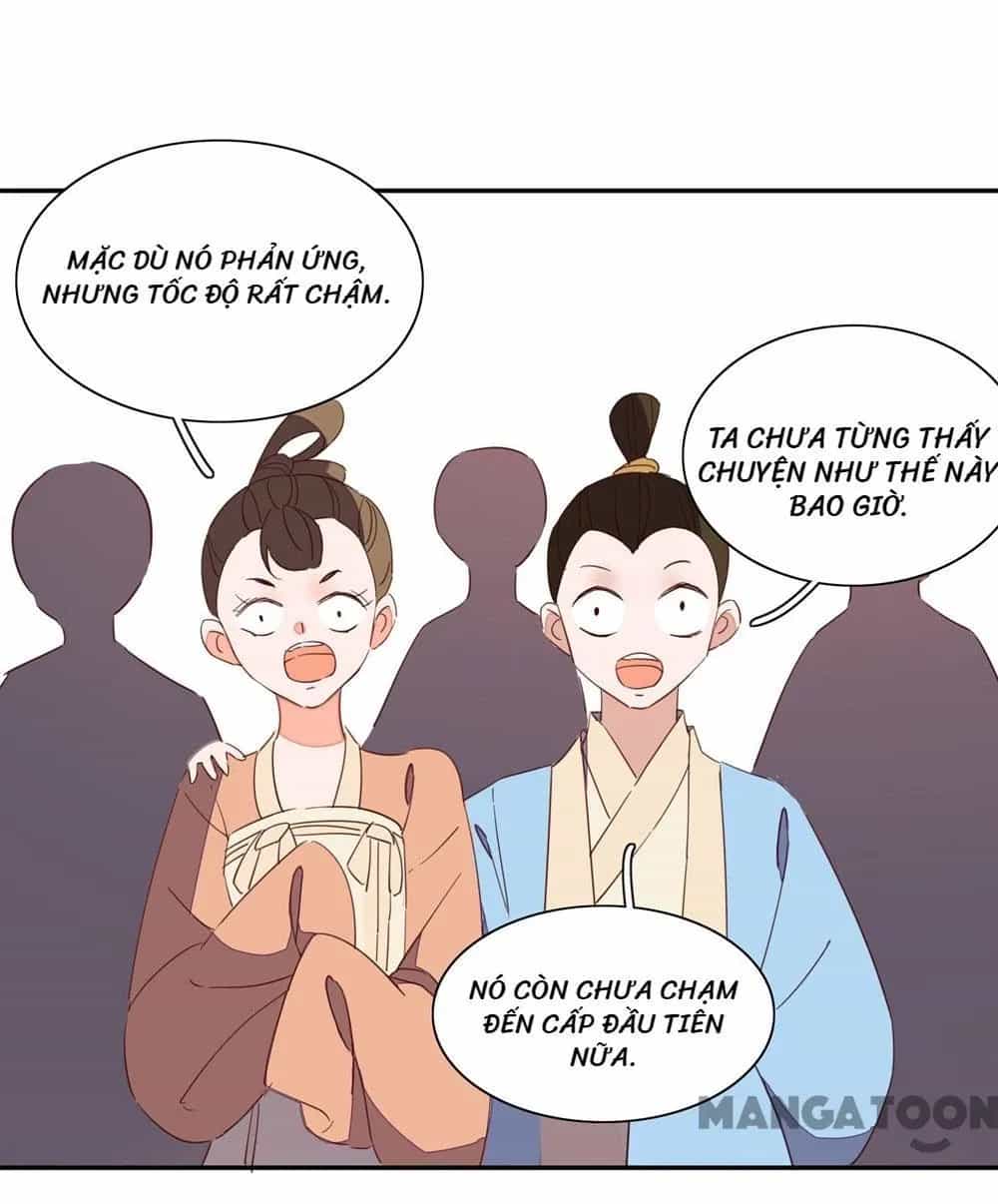 Hướng Dẫn Sau Kết Hôn Của Vương Phi - Chương 44 - ảnh 5