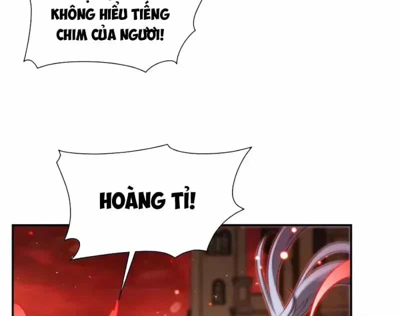 Huyết Cơ Và Kỵ Sĩ - Chương 434 - ảnh 49