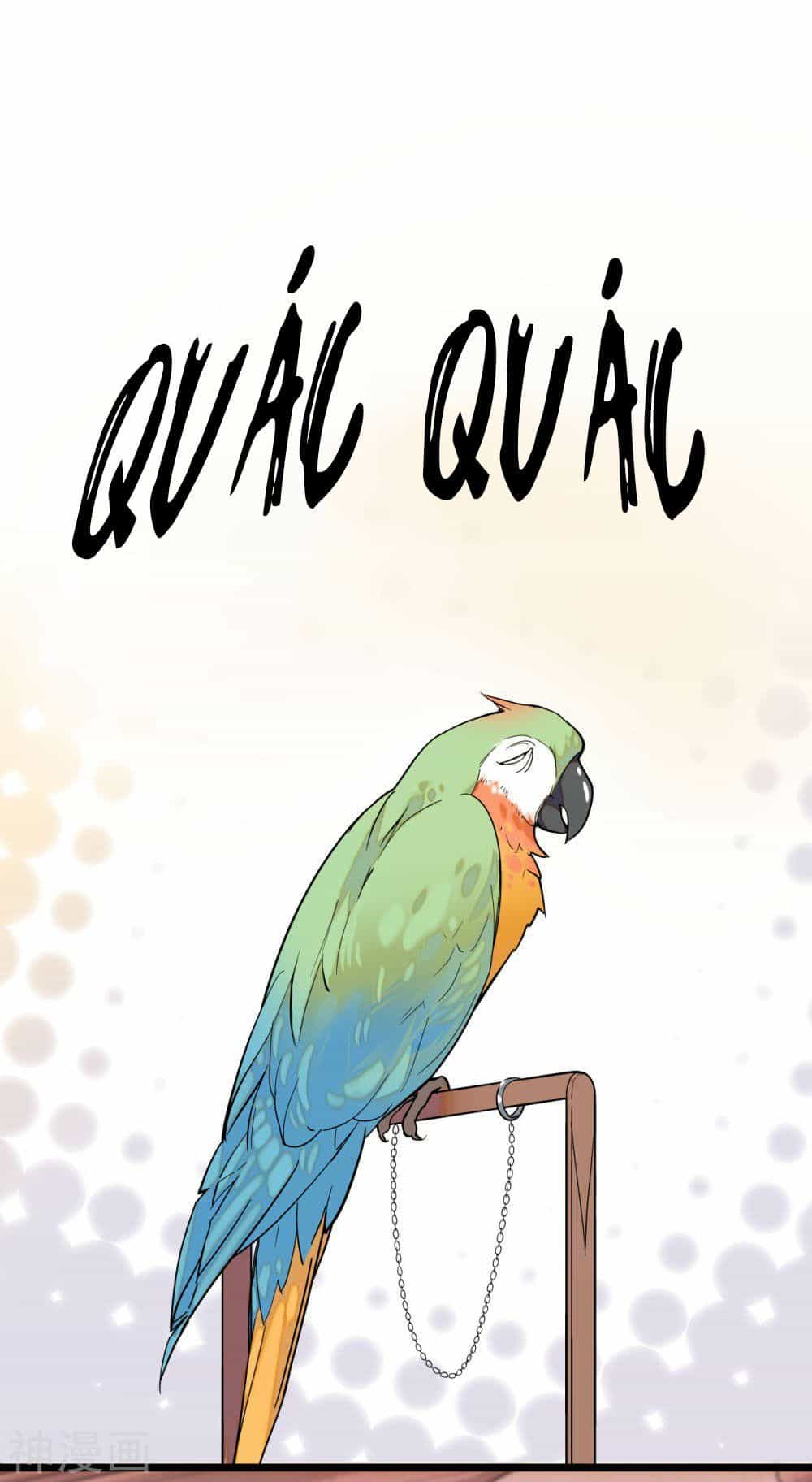 Huyết Túc Khế Ứớc - Chương 5 - ảnh 12