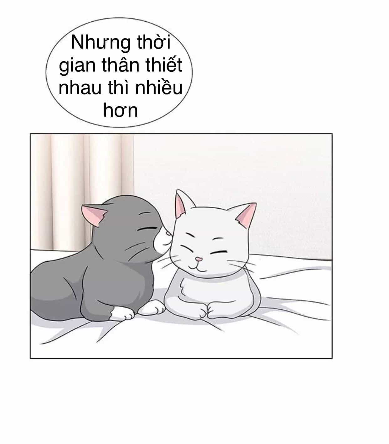 Idol Và Sếp Em Yêu Ai? - Chương 117 - ảnh 26