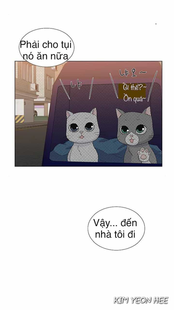 Idol Và Sếp Em Yêu Ai? - Chương 129 - ảnh 41