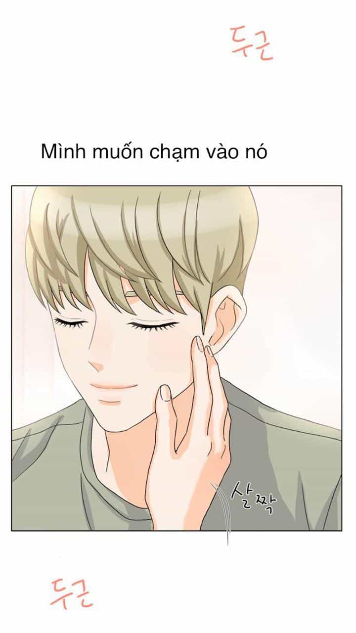 Idol Và Sếp Em Yêu Ai? - Chương 38 - ảnh 25