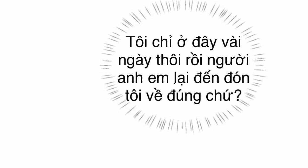 Idol Và Sếp Em Yêu Ai? - Chương 98 - ảnh 43