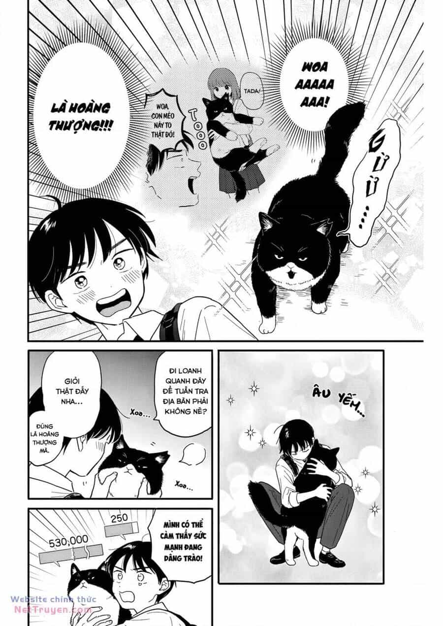 Journey Home After School - Chương 10 - ảnh 13