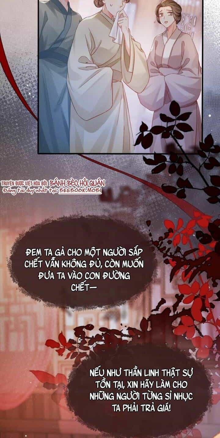 Kế Hoạch Nuôi Dưỡng Bệnh Kiều Vương Gia - Chương 1 - ảnh 24