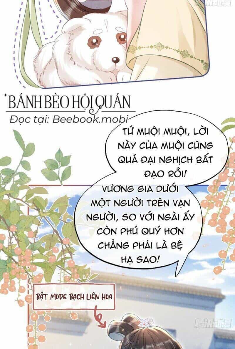 Kế Hoạch Nuôi Dưỡng Bệnh Kiều Vương Gia - Chương 15 - ảnh 21