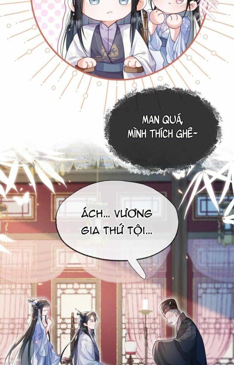 Kế Hoạch Nuôi Dưỡng Bệnh Kiều Vương Gia - Chương 17 - ảnh 16