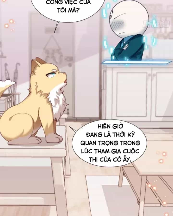 Kế Hoạch Nuôi Dưỡng Streamer Của Cẩu Hoàng - Chương 12 - ảnh 24