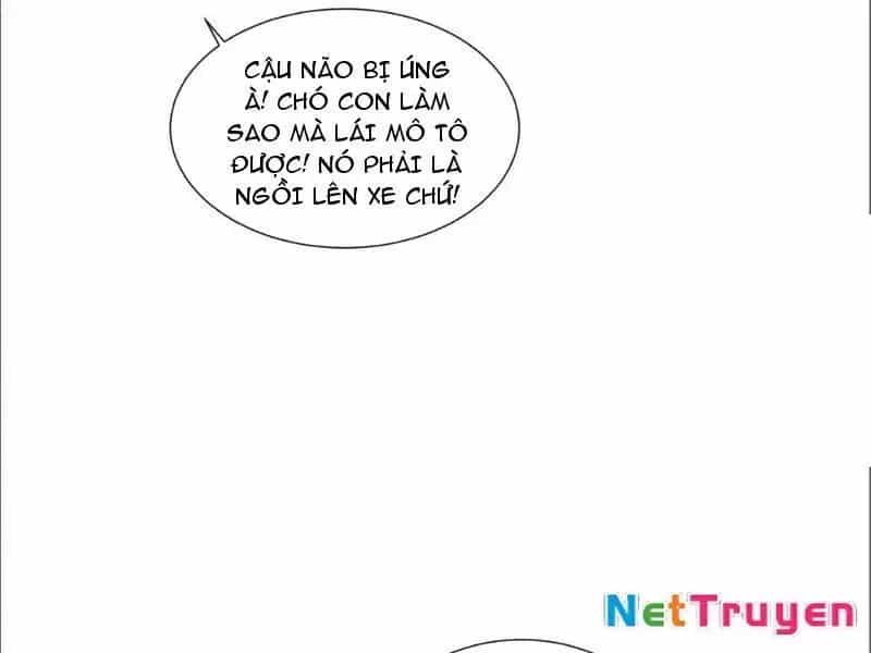 Kế Hoạch Nuôi Dưỡng Streamer Của Cẩu Hoàng - Chương 19 - ảnh 56