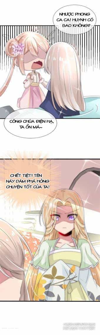 Kế Hoạch Sủng Ái Của Tiểu Công Chúa - Chương 11 - ảnh 11