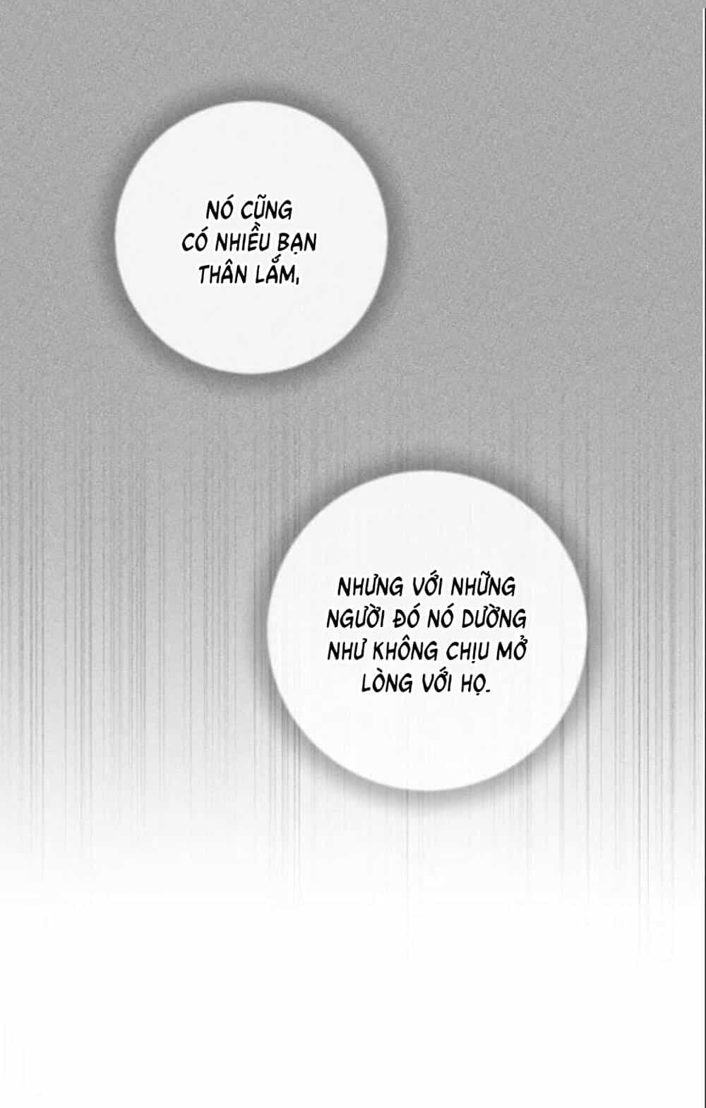 Kết Thúc Nhất Định Sẽ Có Hậu - Chương 19 - ảnh 22