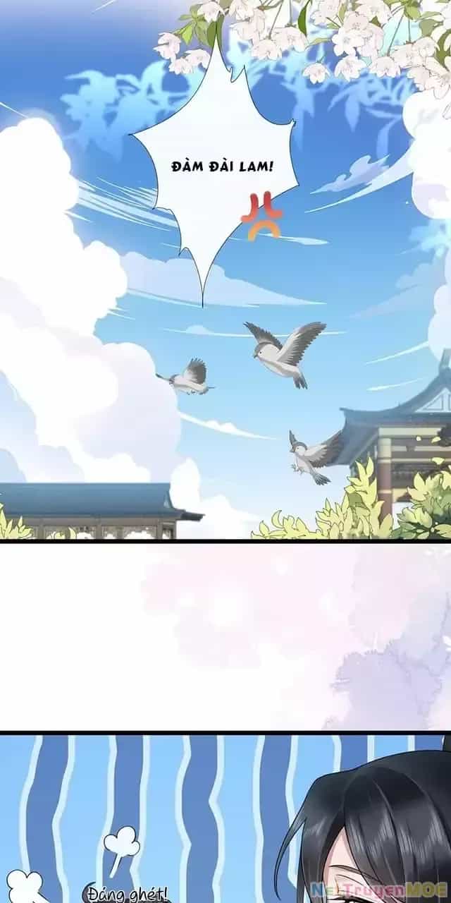 Không Biết Bệ Hạ Là Một Tiểu Cô Nương - Chương 32 - ảnh 15