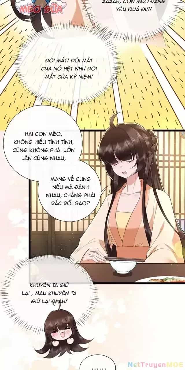 Không Biết Bệ Hạ Là Một Tiểu Cô Nương - Chương 44 - ảnh 20