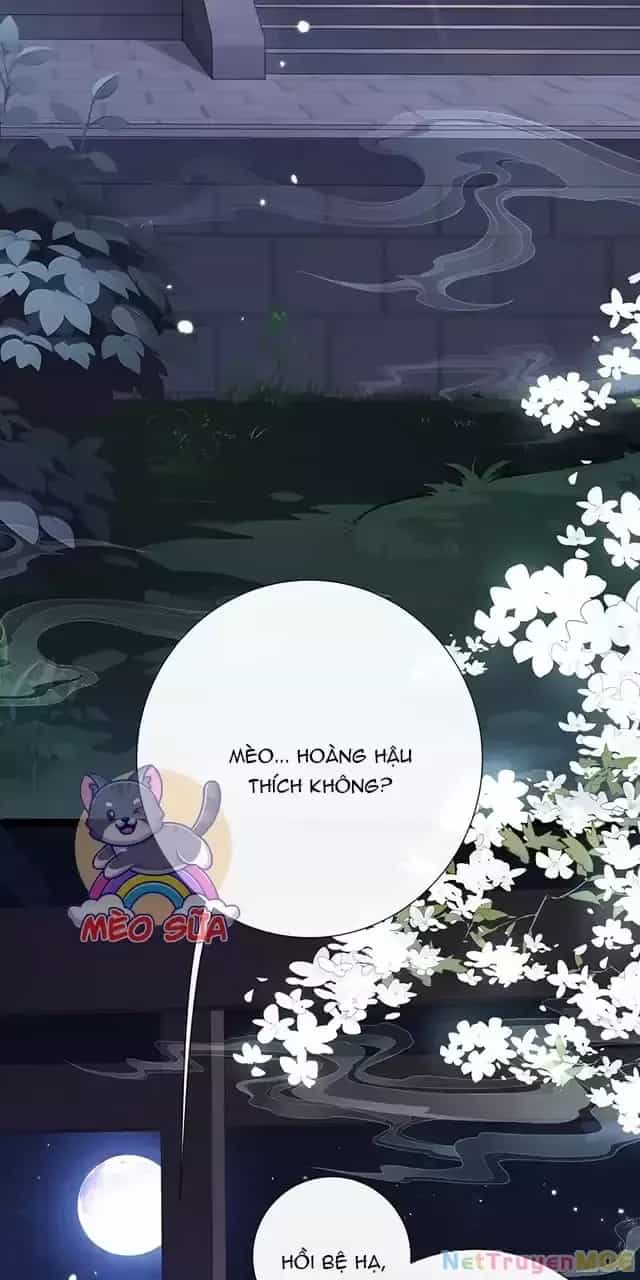 Không Biết Bệ Hạ Là Một Tiểu Cô Nương - Chương 45 - ảnh 14