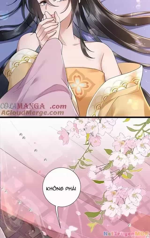 Không Biết Bệ Hạ Là Một Tiểu Cô Nương - Chương 52 - ảnh 19